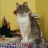 Отзыв от Наталия Устинова